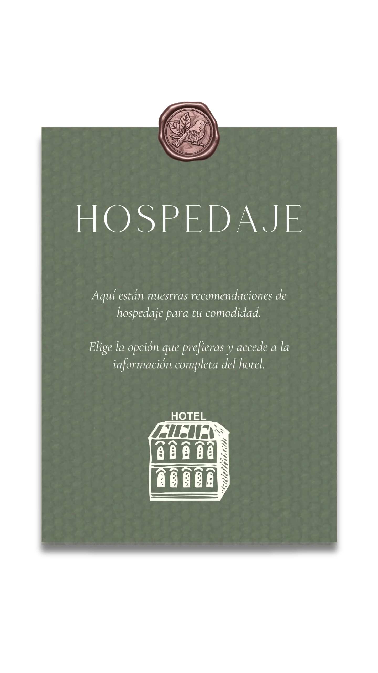 5 HOSPEDAJE